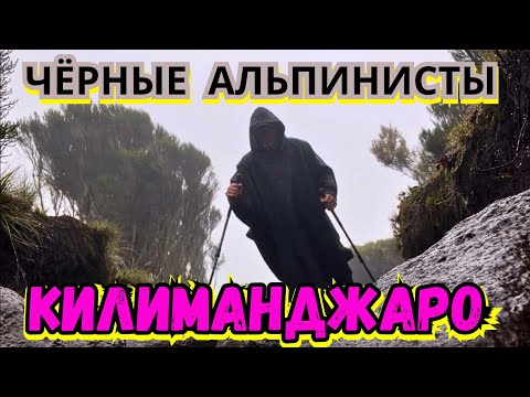 Видео: 🚷 БОЛЬШЕ НЕТ ТУРИСТОВ⁉️ КАК ПРОХОДЯТ ВОСХОЖДЕНИЯ на КИЛИМАНДЖАРО у МЕСТНЫХ?! ОДИН среди ЧУЖИХ‼️