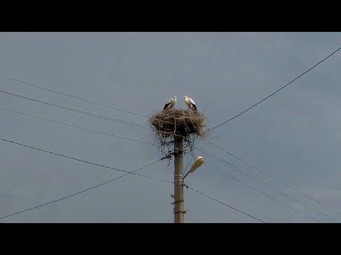 Видео: Заим. Финал путешествия. Велопоход по Молдове 2018 #20