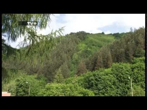 Видео: Зелено бъдеще: Пауловния, Епизод 2 Част 2