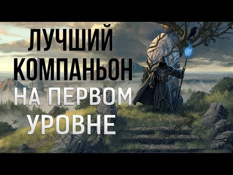 Видео: Skyrim ЛУЧШИЙ КОМПАНЬОН НА 1 УРОВНЕ