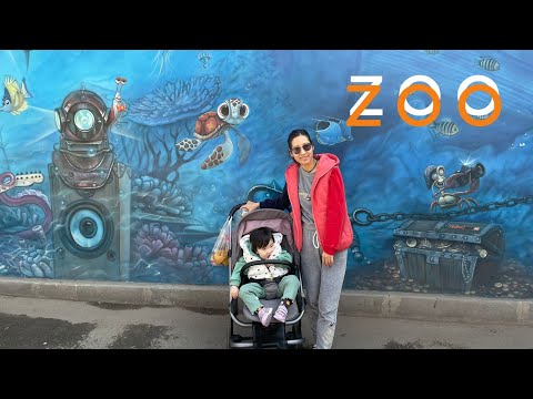 Видео: VLOG 105| Зоопарк Алматы. Готовлю стейк. Петроглифы. Встреча с подругами.