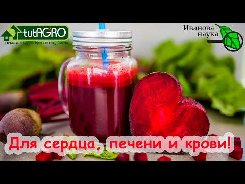 Видео: С ЧЕМ ПРАВИЛЬНО УПОТРЕБЛЯТЬ СВЁКЛУ ДЛЯ ПОЛЬЗЫ. Польза свеклы для крови. Ешьте свеклу каждый день!