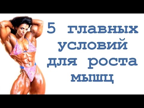 Видео: 5 главных условий для роста мышц