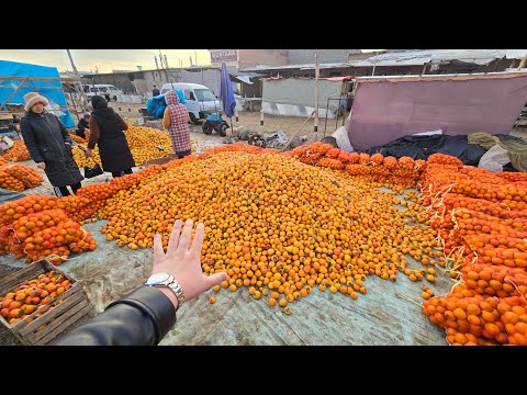 Видео: 7 ноября 2025 г. ТУРТКУЛЬ ДЕХКОН БОЗОР НАРХЛАРИ