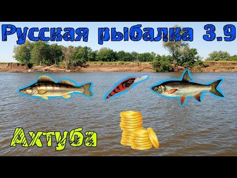 Видео: Русская рыбалка 3.9. Заработок для новичков. Ахтуба. Жерех Судак.