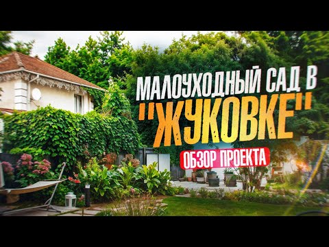 Видео: На объекте спустя год | Малоуходный сад в "Жуковке"
