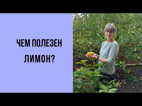 Видео: Лимоны. Откуда к нам приехали? И чем они полезны? Рассказываю!