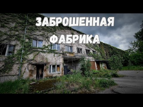 Видео: Заброшенный Ливанский Стекольный Завод. Латгалия, Латвия.