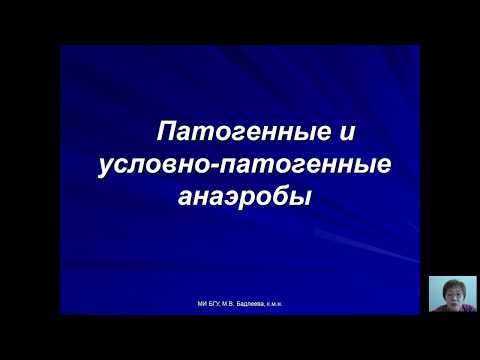 Видео: Возбудители бактериальных и вирусных инфекций (Бадлеева М.В.) - 3 лекция