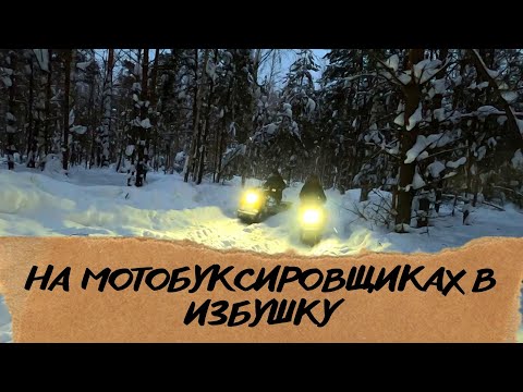 Видео: Мотобуксировщики тонут - еле добрались \ Дом в лесу