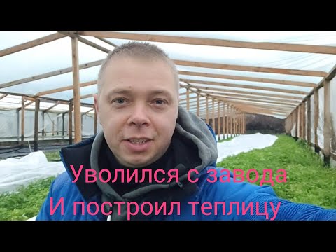 Видео: Простой парень уволился с завода и построил теплицу.$.  Готовим фаршированные баклажаны на рынок.$$$
