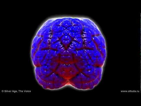 Видео: Story№7! Аудиовизуальный шедевр!