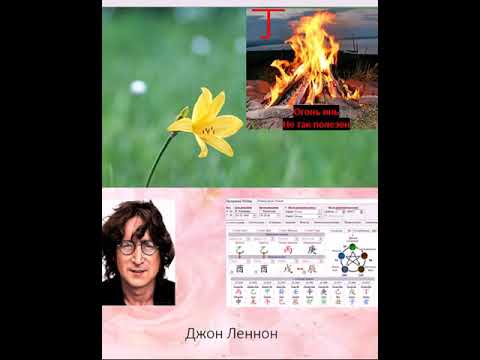 Видео: Ба-цзы. Природа Господина дня Дерево инь.