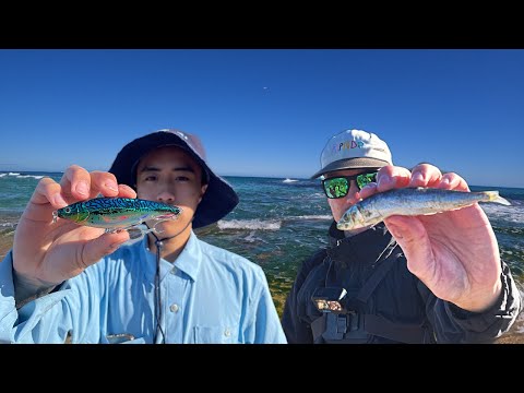 Видео: НАЖИВКА против ПРИМАНОК! (СУМАШНЫЕ РЕЗУЛЬТАТЫ!) — Perth Tailor Fishing