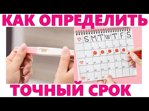 Видео: ТОЧНЫЙ СРОК БЕРЕМЕННОСТИ | Как определить срок беременности