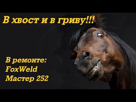 Видео: В ремонте: FoxWeld Мастер 252