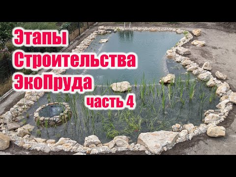 Видео: Этапы строительства экопруда часть 4