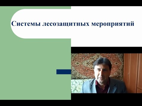 Видео: Системы лесозащитных мероприятий Лекция