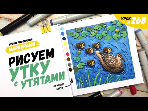 Видео: Как нарисовать утку с утятами? / Видео-урок по рисованию маркерами #268