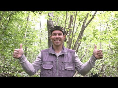 Видео: Этот парень уже ПРОФИ ! Орал от находок на весь лес.Повезло !