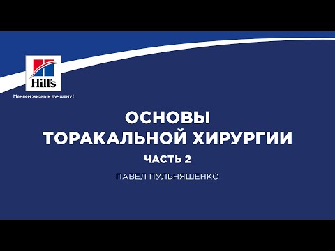 Видео: Вебинар на тему: “Основы торакальной хирургии.” Часть 2. Лектор Павел Пульняшенко.