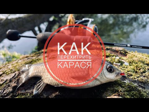 Видео: МОРМЫШИНГ НА ДЕРЕВЕНСКОМ ПРУДУ