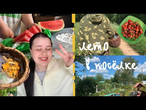 Видео: Влог из посёлка ☀️ иду за грибами, готовлю с мамой и наслаждаюсь летом