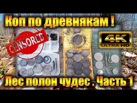 Видео: Коп по древнякам! Лес полон чудес! Часть 1