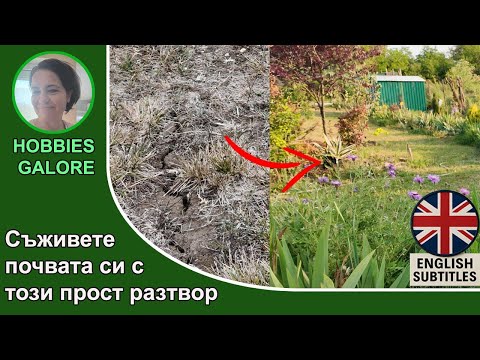 Видео: JADAM микробен разтвор (JMS) – как да го приготвим стъпка по стъпка