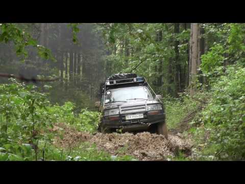 Видео: Карпатский гамбец Offroad crazy
