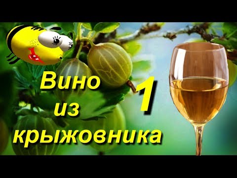 Видео: Вино из крыжовника ( домашний рецепт)