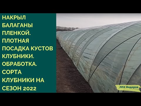 Видео: Накрыл балаганы.