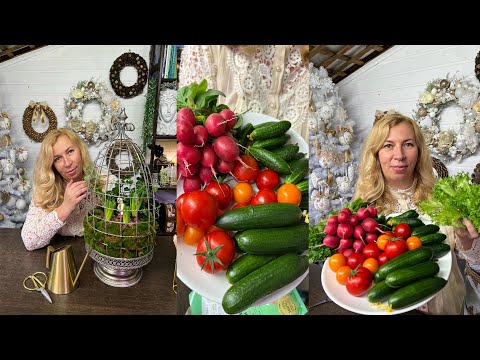 Видео: Дачные сезоны с Мариной Рыкалиной от 23 ноября 2023 года