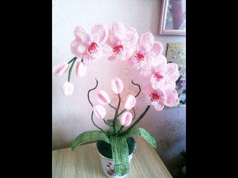 Видео: Орхидеи. Топ 20. Июнь - октябрь 2016