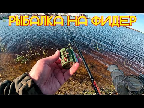 Видео: Летняя рыбалка на фидер.
