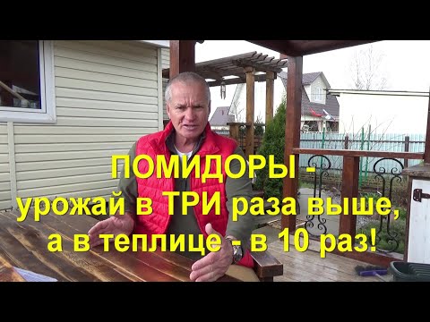 Видео: 57. Высаживаем помидоры по методу Маслова на троекратный урожай!