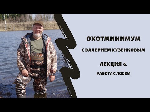 Видео: Охотминимум. Лекция 6. Охота на лося. Правила работы с лосем