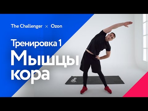 Видео: Силовая видеотренировка с акцентом на мышцы кора