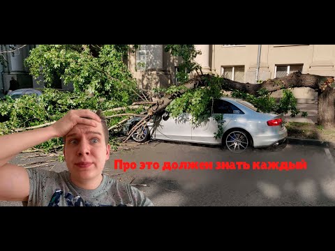 Видео: Что делать если на вашу машину упало ДЕРЕВО?///Порядок действий в очень непонятной ситуации!!!