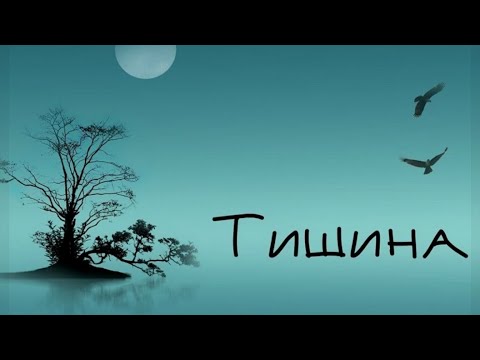 Видео: Тишина (стих под музыку)