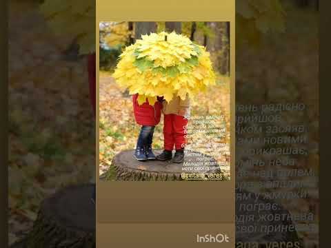 Видео: Жовтень...  #осінь