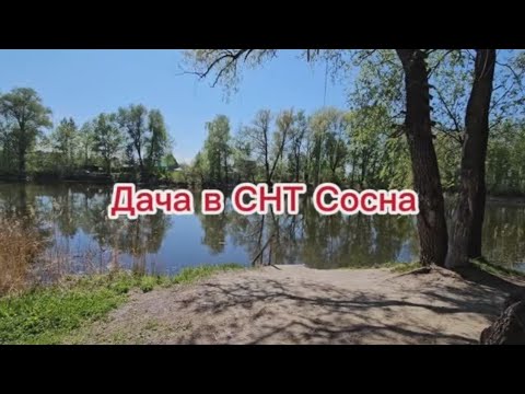 Видео: Дача в СНТ Сосна