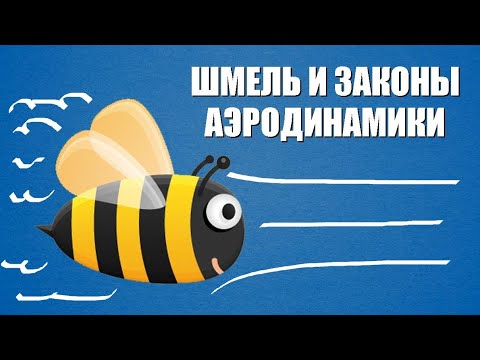 Видео: Нарушает ли шмель законы аэродинамики?