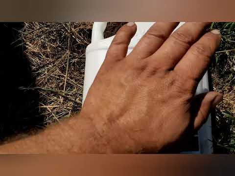 Видео: Хлебный жук  Кузька борьба с ним