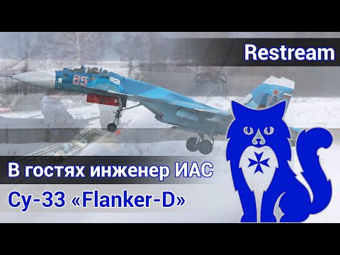 Видео: Су-33 Flanker - В гостях инженер авиационной службы (МиГ-29К\КУБ\Су-33\30СМ) (DCS World) | WaffenCat