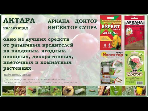 Видео: Актара - одно из лучших средств от вредителей плодовых, ягодных, овощных и декоративных культур