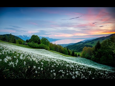 Видео: Встреча Субботы