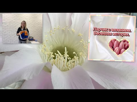 Видео: Что на спицах | Готовая работа | Покупки | Ларчик с вязанием « весенняя история»