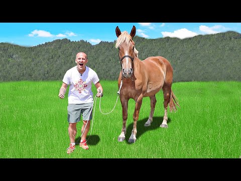 Видео: КУПИХ СИ КОН