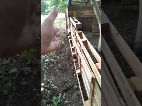 Видео: Представляем вам загоны для #мангалица